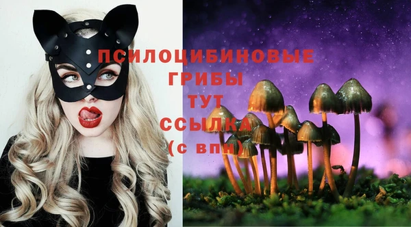 ECSTASY Баксан