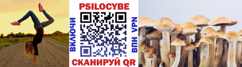 Псилоцибиновые грибы GOLDEN TEACHER  Давлеканово 